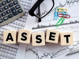Asset Recovery