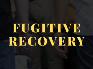 Fugitive Recovery
